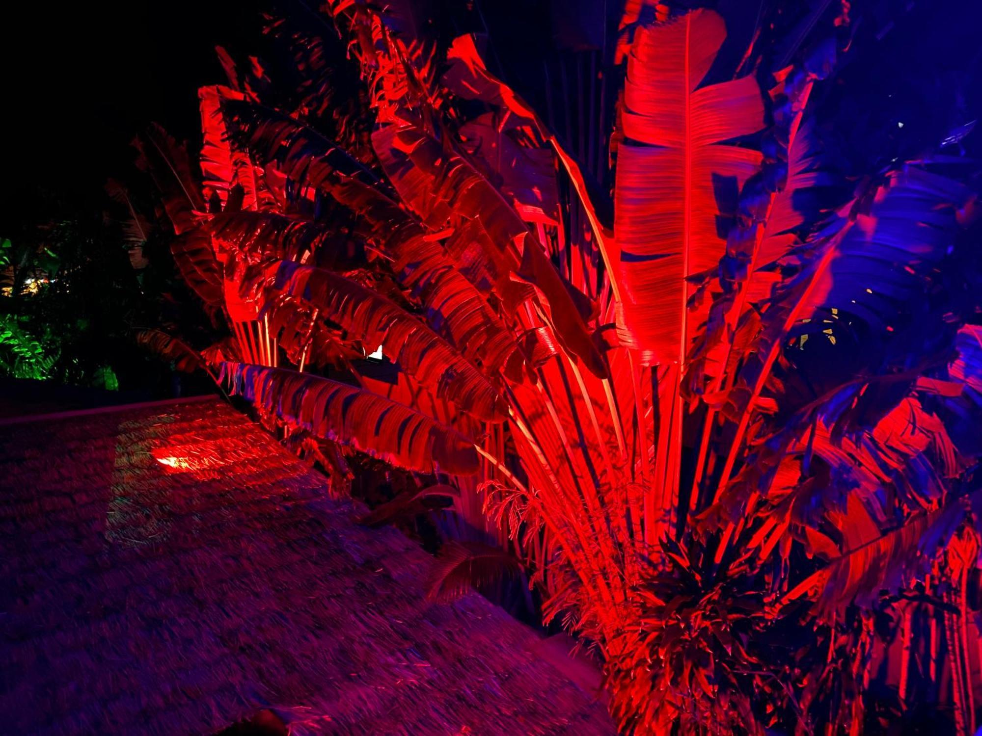 Stunning Villa With Ocean Views And Free Car Lamai Beach  Exterior photo